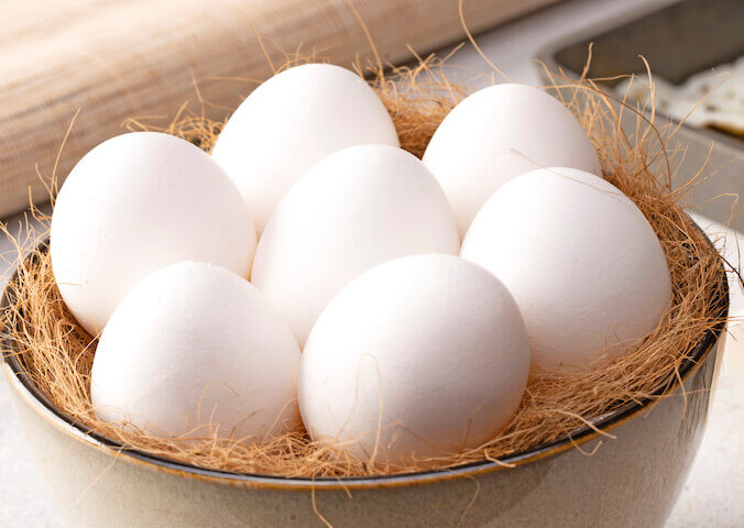 Egg