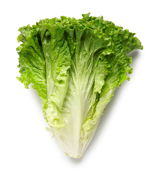 Lettuce